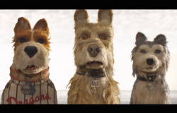 eye-contact: Isle of Dogs, 2018 Dir. Wes