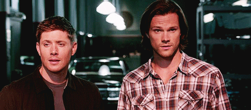back on hiatus oops