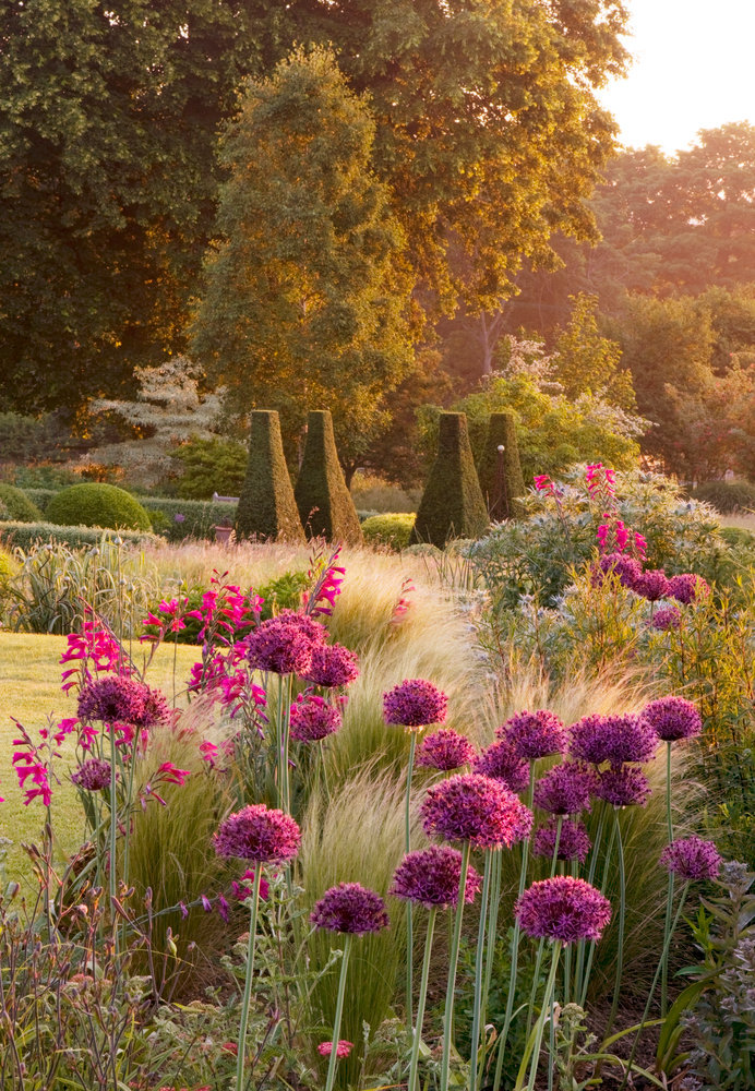 floralls:    PETTIFERS GARDEN, OXFORDSHIRE   by  Clive Nichols     