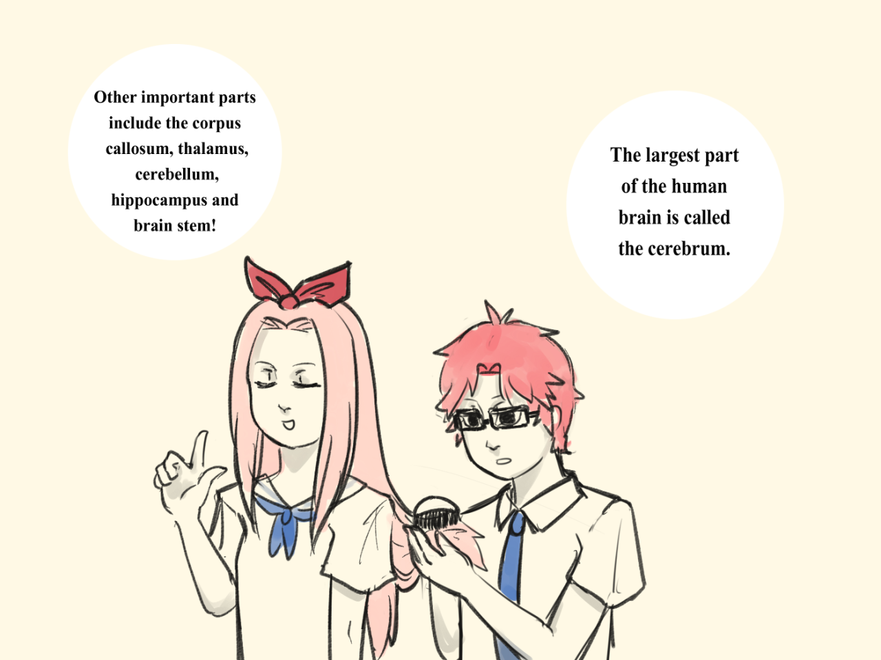 World s longest naruto stunlock fun brain facts for middle schoolers 