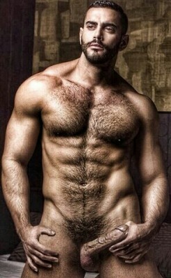 thisutahbear:  ~ ~ ~ ~ ~ ~ ~ ~ ~ ~ ~ ~ ~ ~ ~ ~ ~   http://thisUTAHbear.tumblr.com