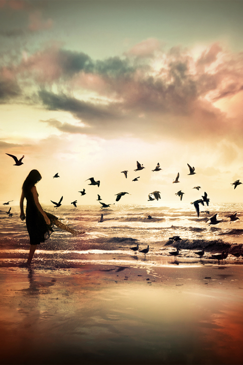 chiffonaddict:  fly high on @weheartit.com - http://whrt.it/12SEFfu 