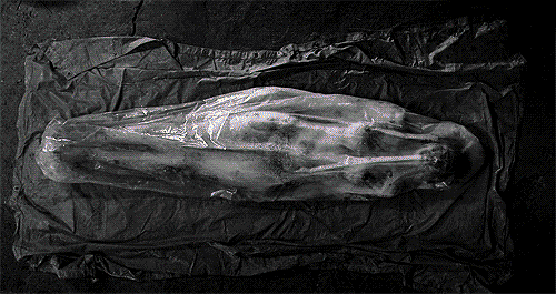 Salem Ghostwolf
