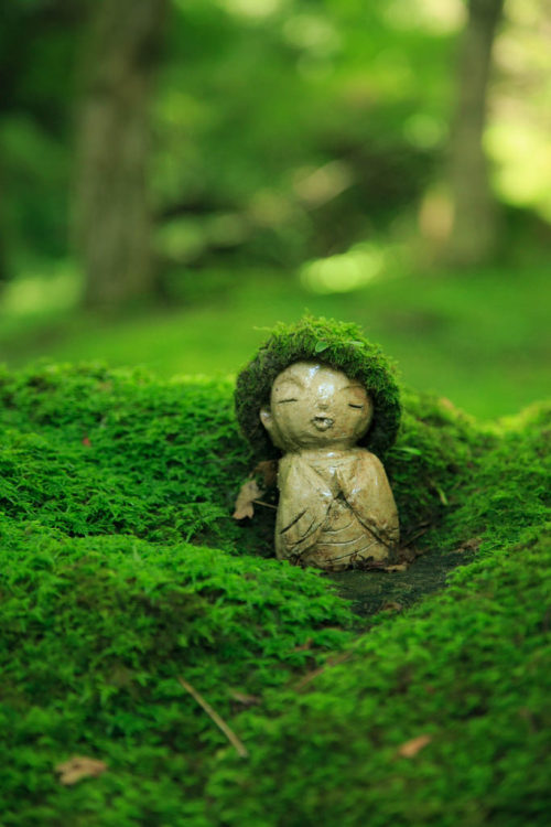 wanderthewood: The guardian deity of children in moss by Jien Tohr