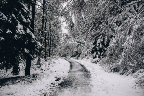 Winter Wonderland - Wesertalsperre Eupen - Part I. You can find part II here. By Thorsten Nunnemann.