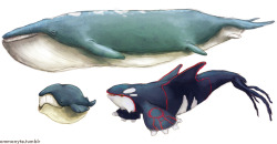 ommanyte:  Poké-cetaceans!  finally put some colour on this old sketch 