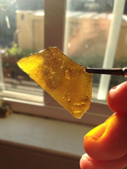 andrewallenmoore:  🍯🍇🍋blueberry lemonade by #goldenratioextracts one of my new favorite companies for sure 🔥
