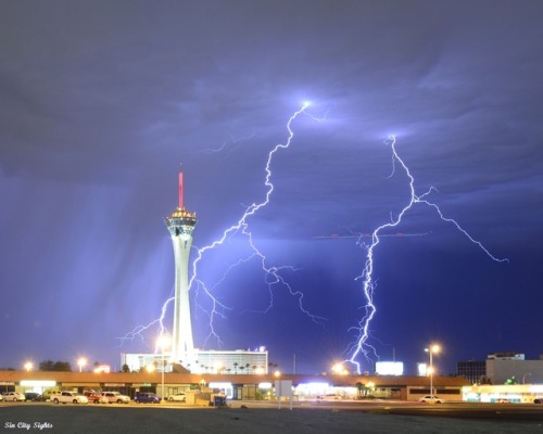 sin-city-sights:I’m sure everyone that lives here in Vegas knows we had one hell of a lightning storm blow through the west side last night. I was taking the dog for her walk when I saw the lightning off to the west. Just as we got back to the house