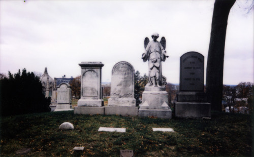 densityofsilver:Greenwood Cemetery, Brooklyn, New York