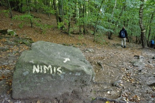 morganathewitch: Our destination, Nimis~