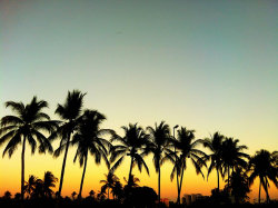 comerviajaramar:  Acapulco, México.