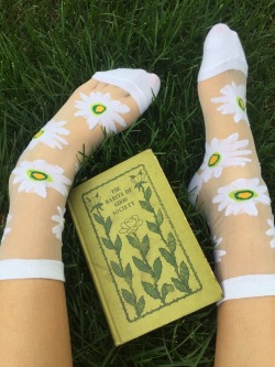 buzzflower:I get so excited about socks