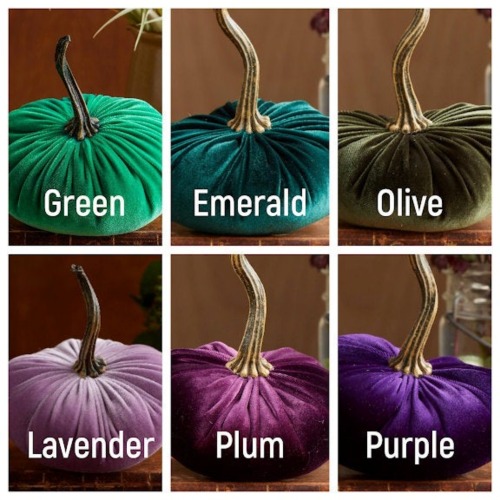 sosuperawesome: Velvet Pumpkins Michelle Rutta on Etsy See our #Etsy or #Pumpkin tags