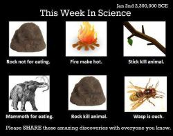 haha-woww:  lolfactory:  science☆ funny tumblr ☆ funny reblogs  haha…. woww….