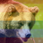 omgkalyppso:marinella-ela:@grizzly-bear-official