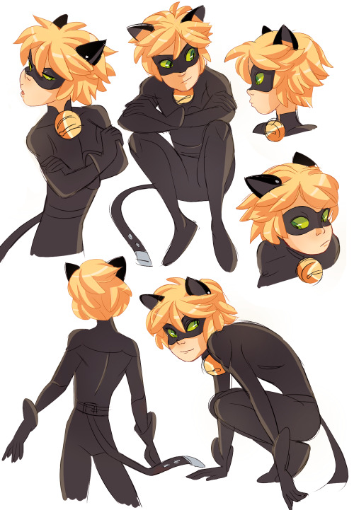 amaryllis-arts: I’m sooo excited for the the miraculous ladybug! Can you tell I love chat noir