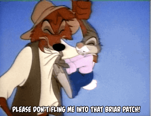tumblr_oy3ag8jZZO1wzypxlo4_500.gif
