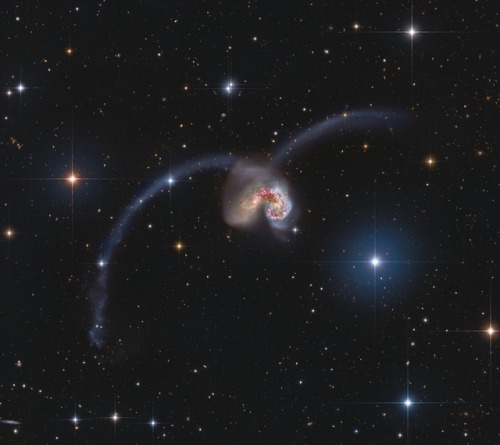 Exploring the Antennae Some 60 million light-years away in the southerly constellation Corvus, two l