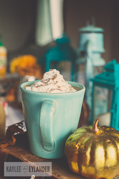 magicalfoodtime: (via Pumpkin Spice Coffee Creamer | DIY Fall Recipes | Kaylee Eylander DIY)