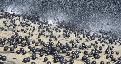 huffingtonpost:  Millions Of ‘Shade Balls’