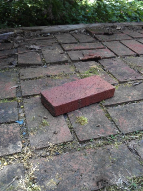 blogust:grass10:nietzscheisdead:lambhoof:lambhoof:luv the dimensions of this brick I found in the wo