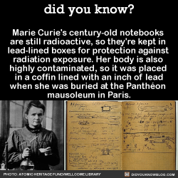 govthookercoulson: did-you-kno:  Marie Curie’s