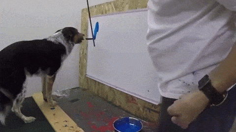 sixpenceee:  The border collie Jumpy wrote his name on a board by following the baton