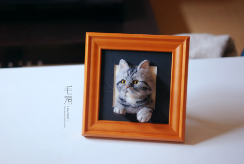 ▋ Exotic Shorthair ( custom-made )Pet Portrait  Frame is approximately 17 x 17 cm