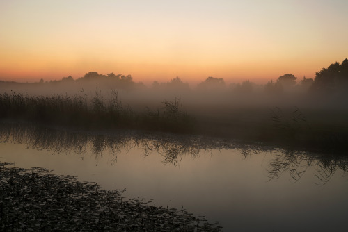 swedishlandscapes: Summernight by the creek.