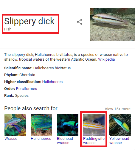 masterpost of fish names i really like