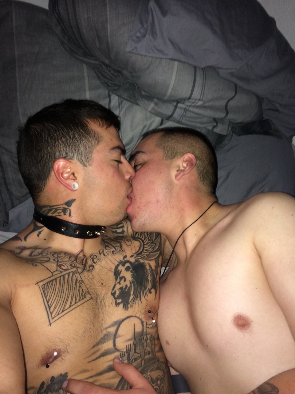 nirad:Babe bought me a collar! &lt;3
