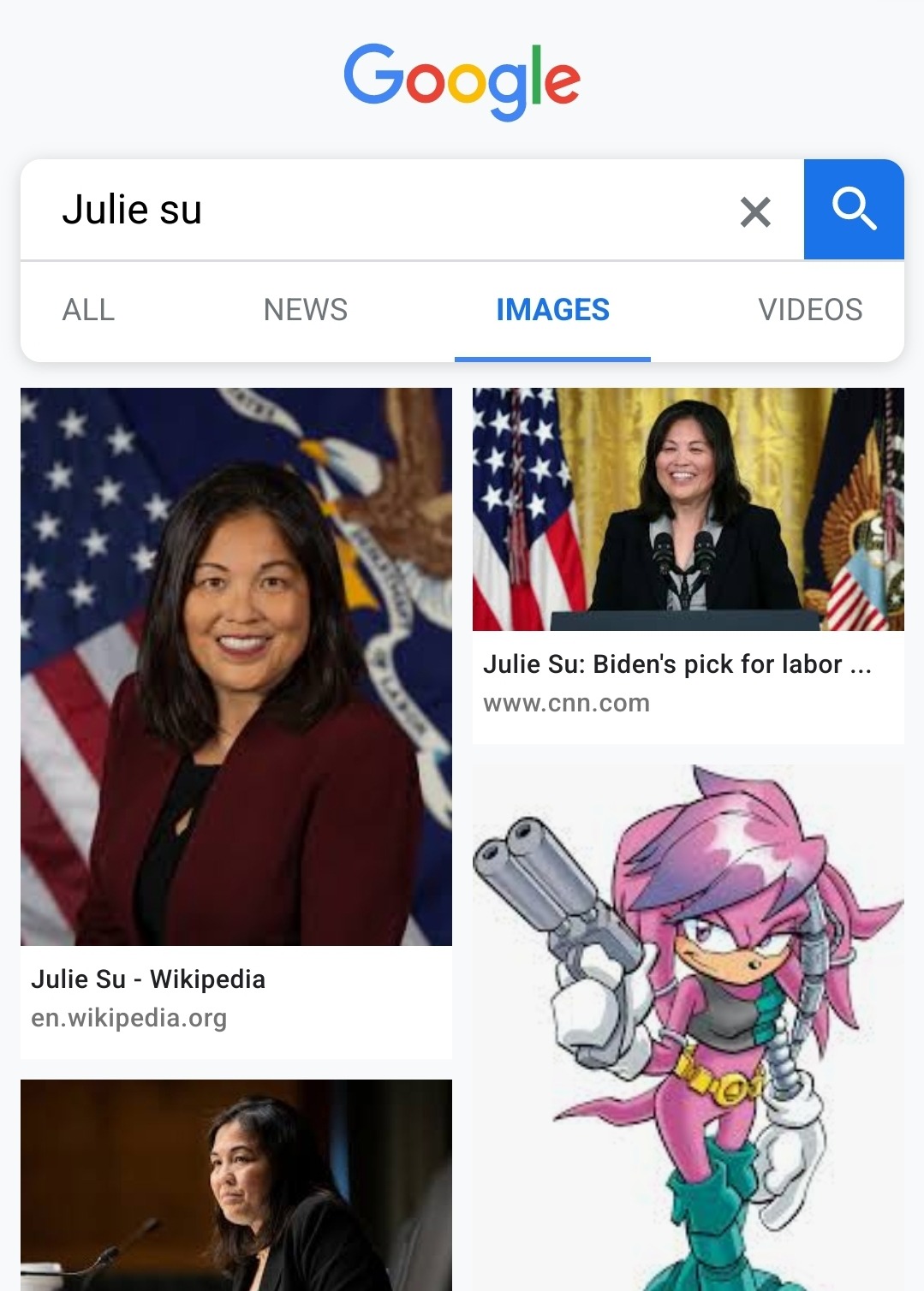 Julie-Su, Sonic Wiki Zone