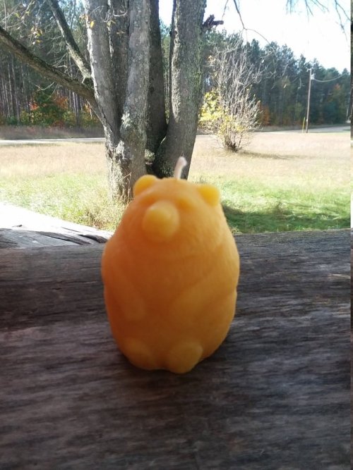 littlealienproducts:Chubby Bear Candle 