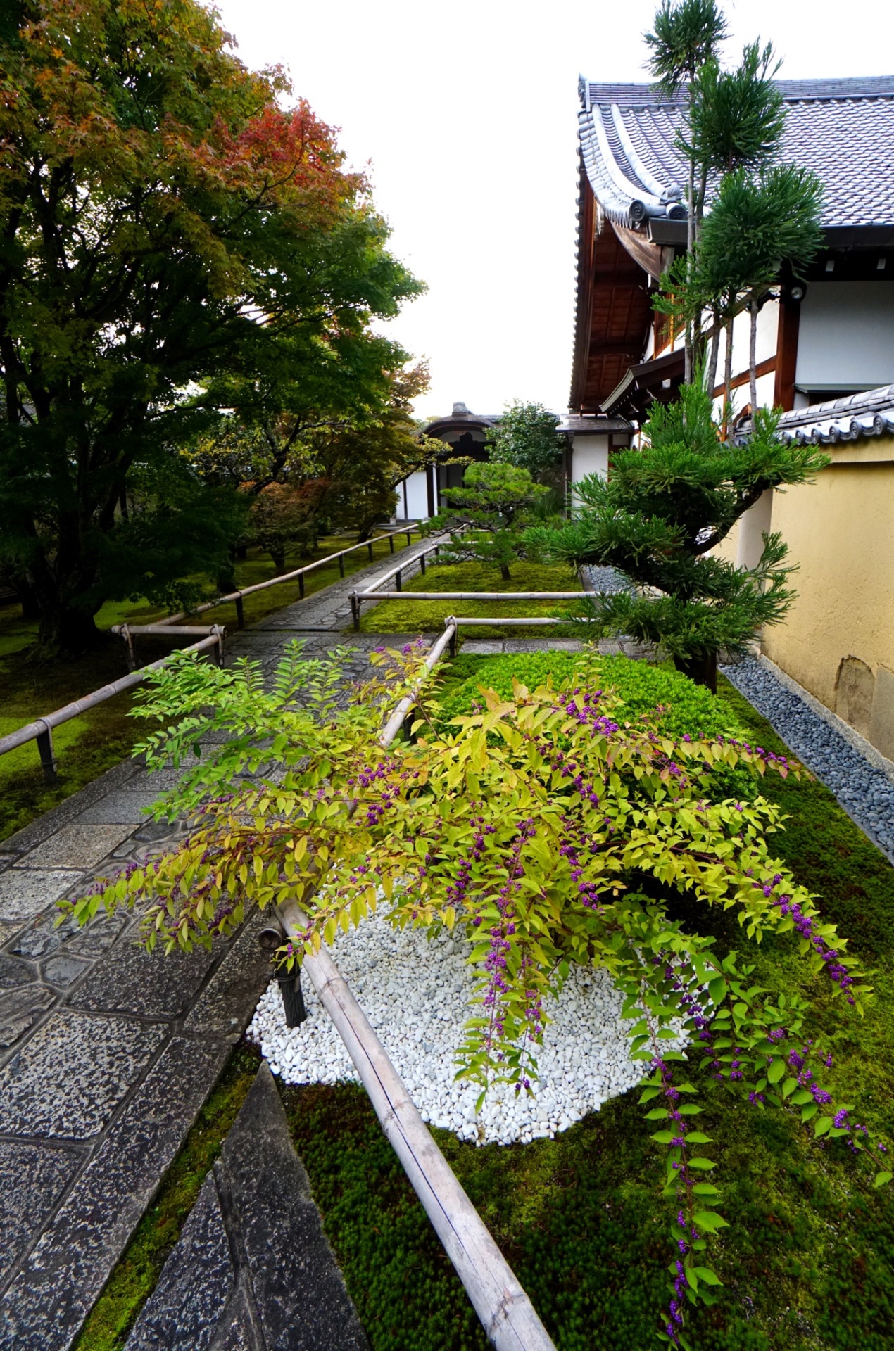 chitaka45:京都　大徳寺　興臨院kyoto daitokuji korin-in temple