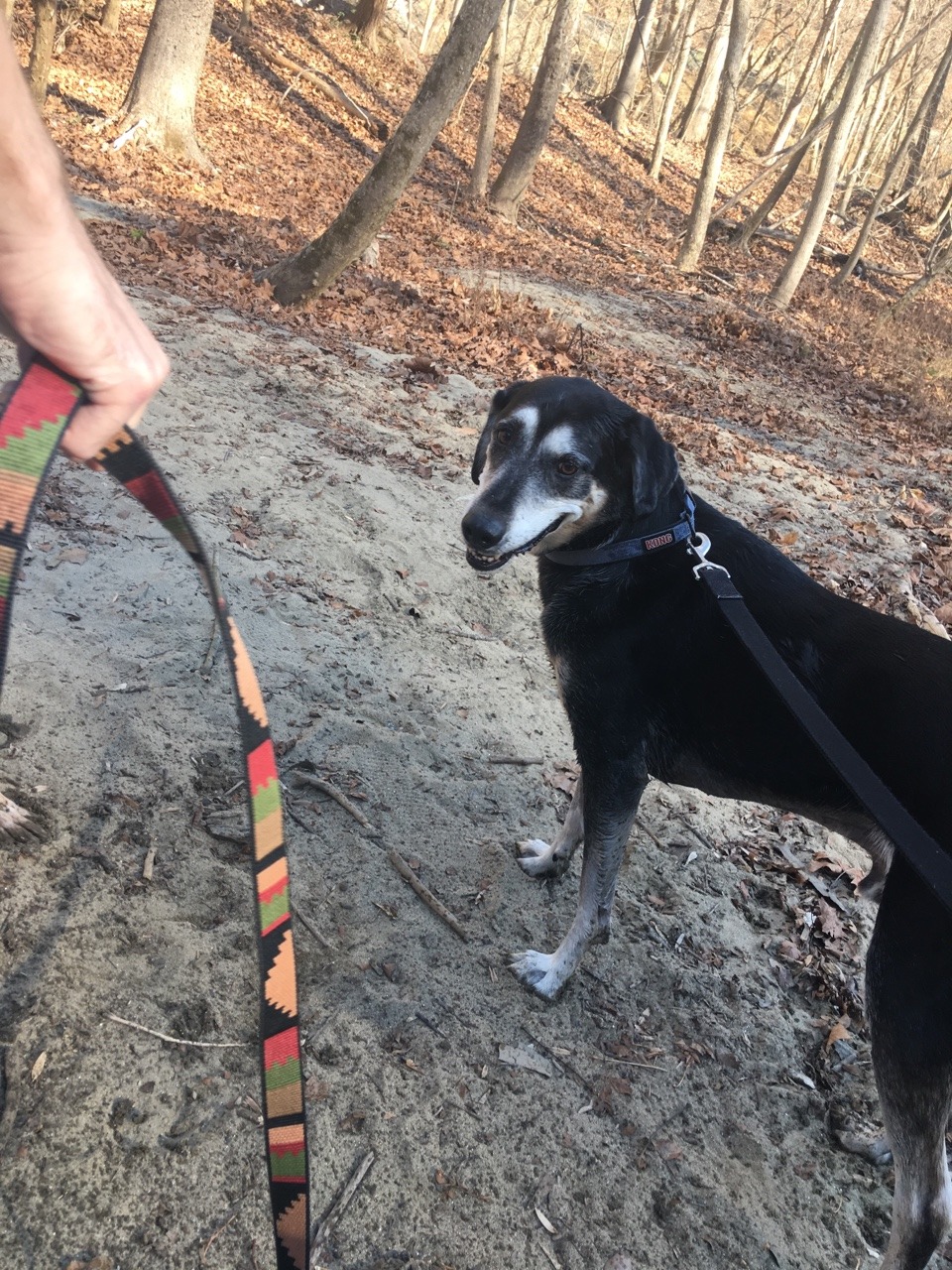 camdamage: camdamage:  Real good hike with the boys today ❤️❤️  How are we
