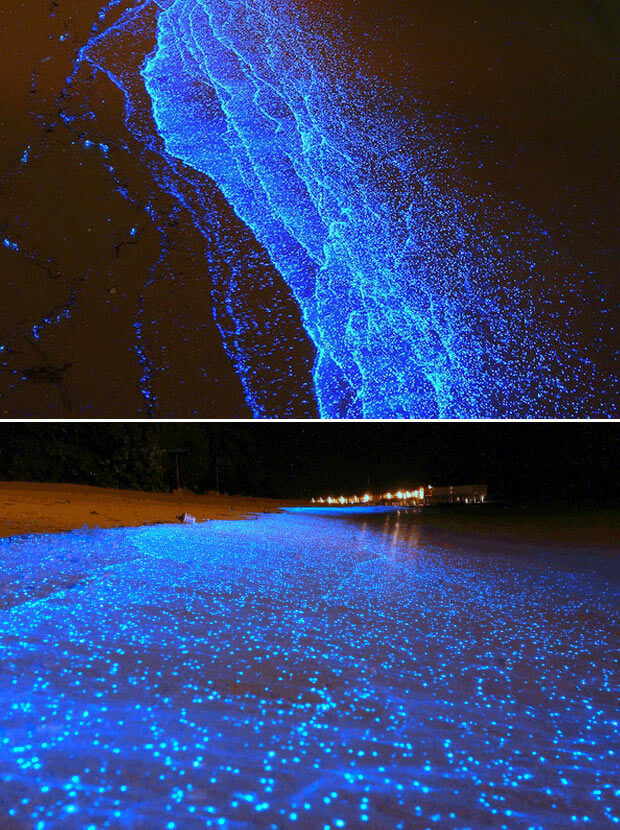 The Sea of Stars on Vaadhoo Island, Maldives