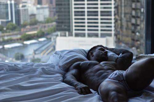 Adonis Files