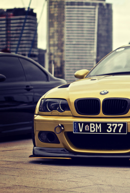 Stance | Dynamics