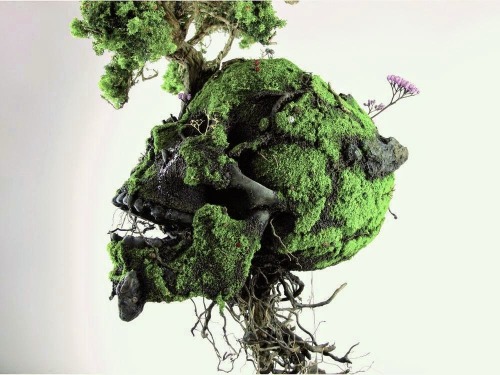 asylum-art:  Émeric Chantier Sculptures: Flowery Skulls on Facebook, at Macadam gallery  Émeric Chantier presents objects covered verdure, arms or hearts covered vegetables , fetus wearing green and lying in a crucifix grenadeun flowery, flowery skull