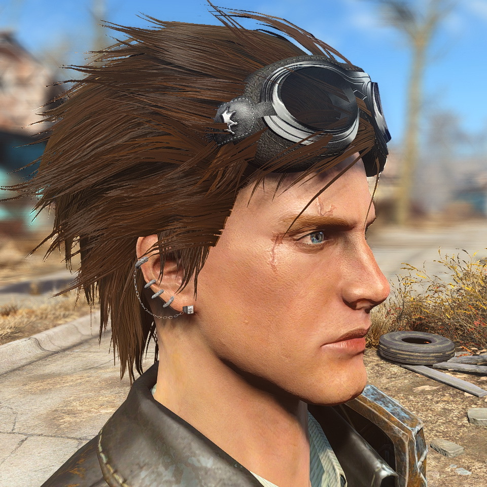 fallout 4 activate mod