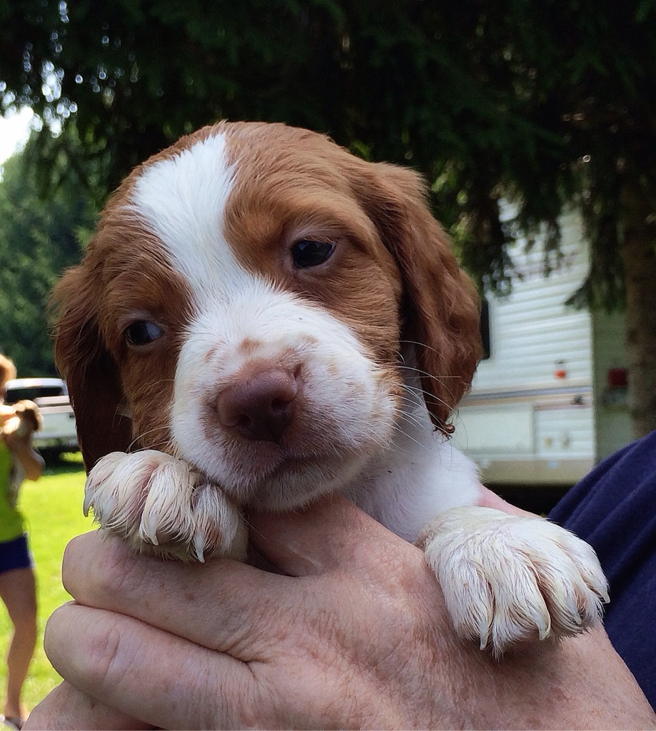 cute-overload:  Went to visit miss Lyra yesterday. She comes home in two weeks! Being