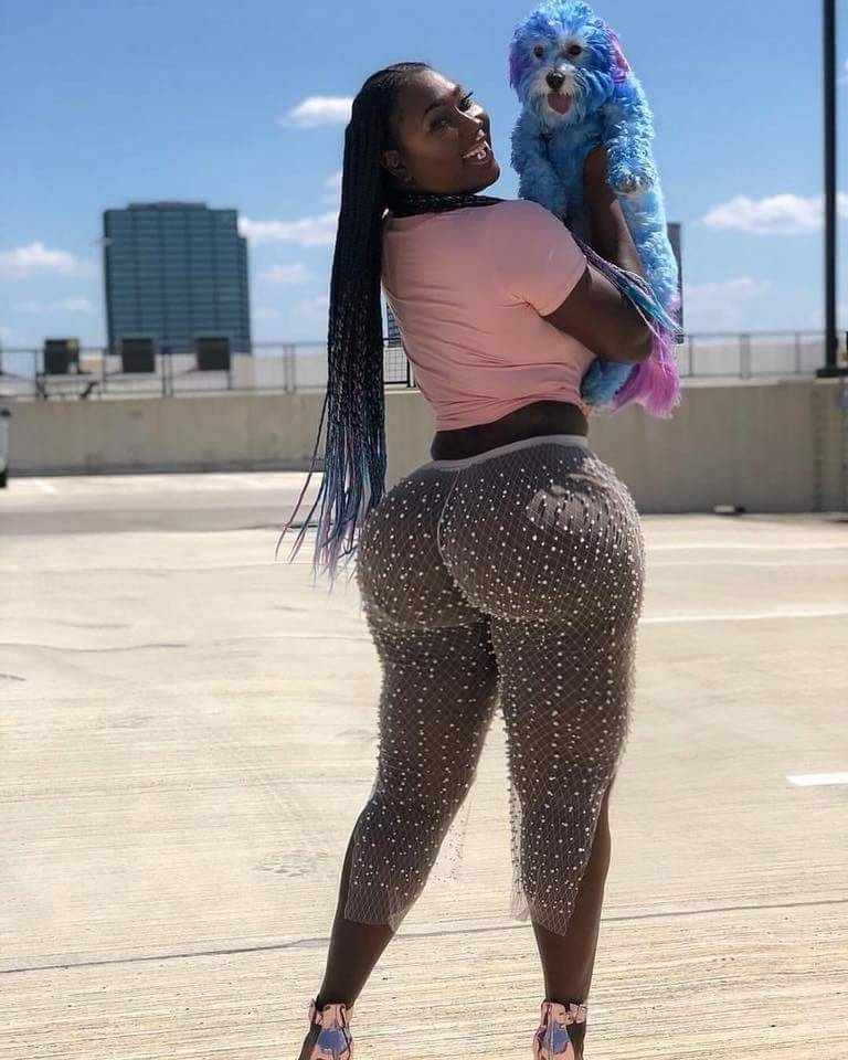 ASS-N-TITS