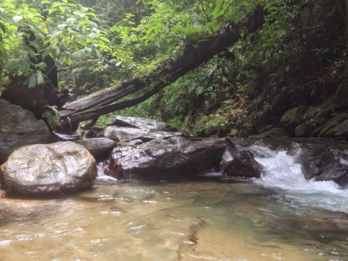 theeyeoftroy: The river leaving Rio Seco Waterfall, Trinidad. Copyright 2017 Troy De Chi. All rights