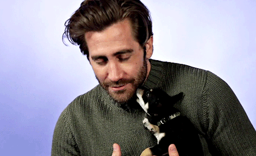 isbinary: Jake Gyllenhaal Plays With Puppies
