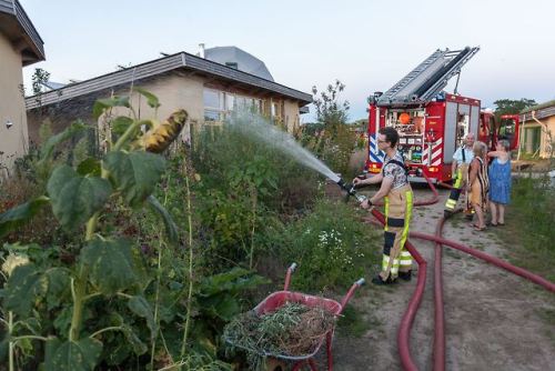 solarpunk-aesthetic - Aardehuizen, NetherlandsAn eco-village...