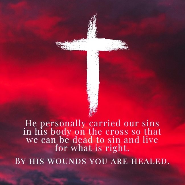 The Living 1 Peter 2 24 NLT He Personally Carried Our the-living-1-peter-2-24-nlt-he-personally-carried-our