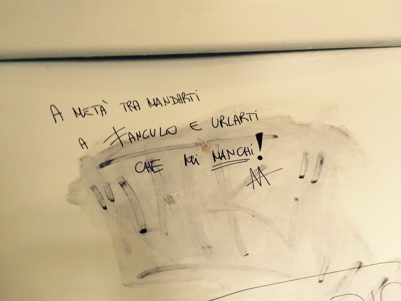 e-trentamarzoduemiladodici:  I treni che mi capiscono..