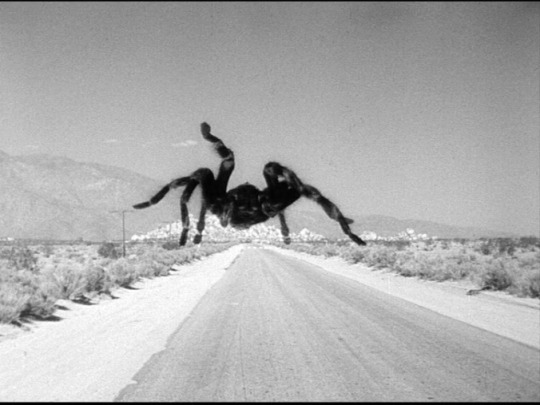 Giant spider crossing a desert road. Image from Them! (1954)