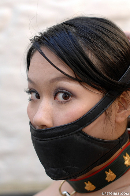 slavefarmer:  Muzzled like a bitch.