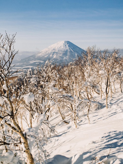 Hokkaido, 2020